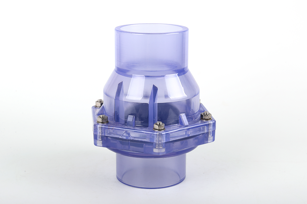 青田透明翻板式止回阀